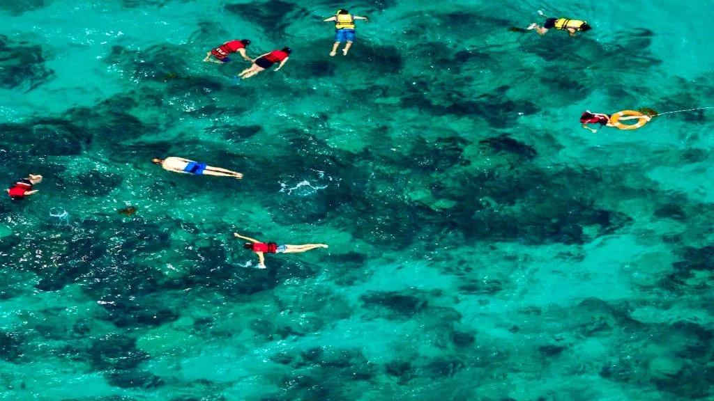 Excursions Catalina Island Snorkeling